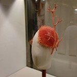 Selfridges Washed up Project Ocean designer kalapok