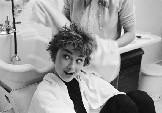 audrey