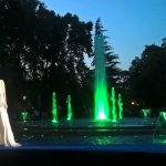 Sentiments magyar divattervező