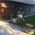 Cango & Rinaldi 2016/17 kampány fotó borzi Vivien Styling Parádi Gabriella modell Kulcsár Edina