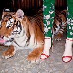 Gucci 2017 nyár kampány Róma tigris