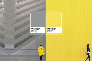 Pantone Color of the Year 2021